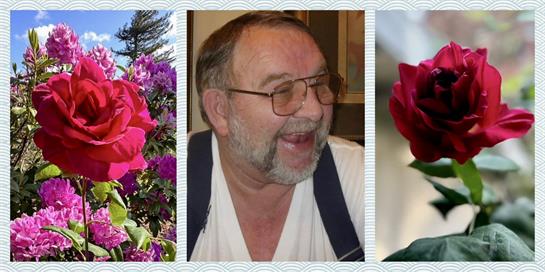 A collage of a man and a flower