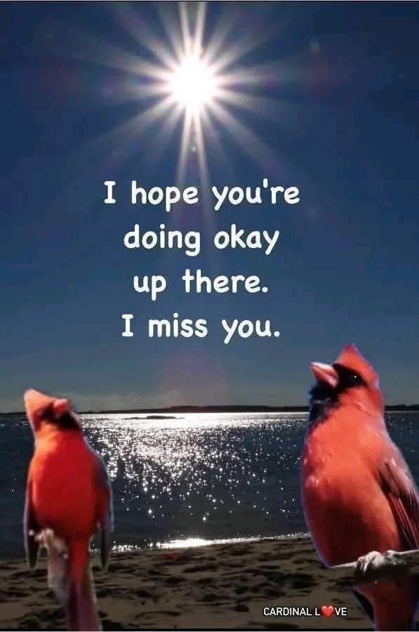 Two vibrant cardinals stand near the water, accompanied by a touching message above.