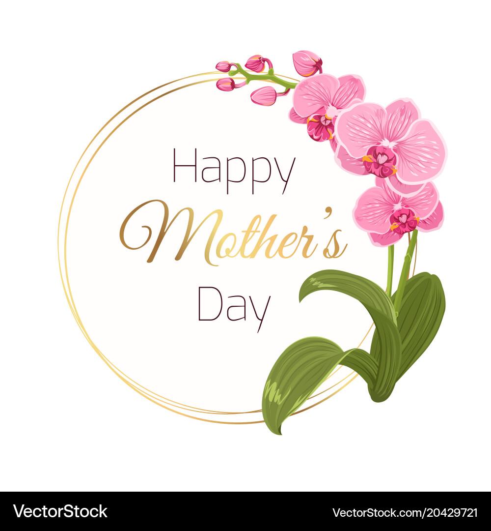 Colorful pink orchids frame a heartfelt message for Mother’s Day, creating a festive atmosphere.