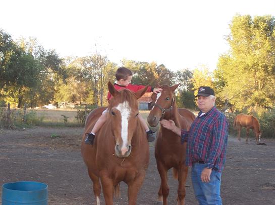 A man and boy standing next to horses
