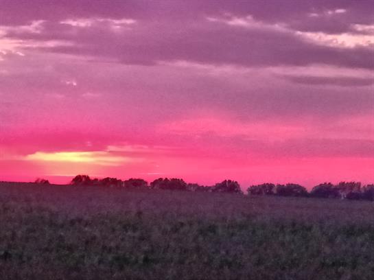 Vibrant hues fill the sky as the sun sets behind a tranquil field with distant trees.