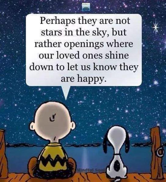 Charlie Brown and Snoopy contemplate the stars and their significance under a dark sky.