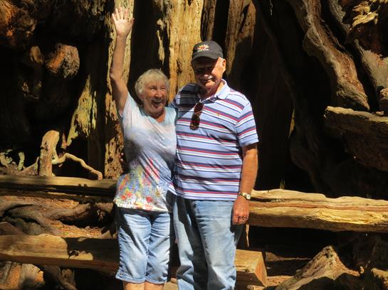 A couple stands happily in a forest setting, surrounded by large trees and wooden logs.