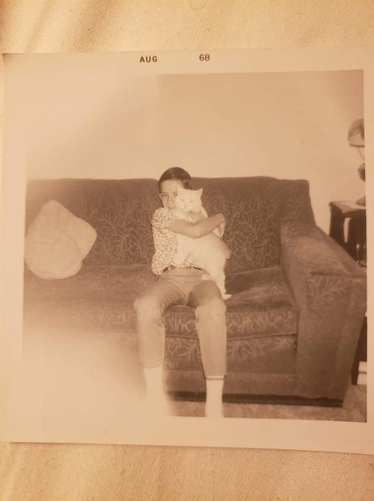 A young boy embraces a white cat while sitting on a brown couch in a quiet living room.