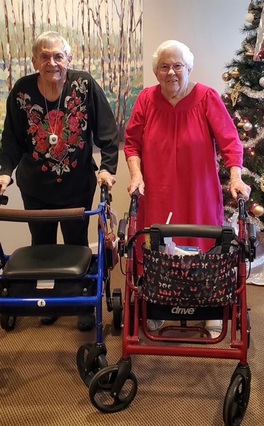 Two older women in a black top and pink dress use walkers in a warm, festive setting.