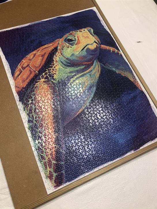 A puzzle of a turtle