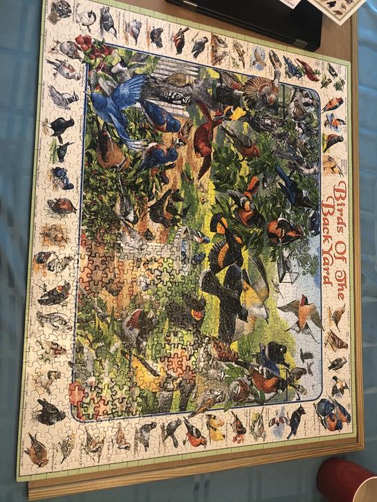 A puzzle with birds on it
