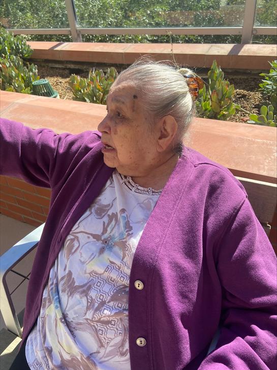 An elderly woman in a purple sweater enjoys the sun while talking, surrounded by greenery.