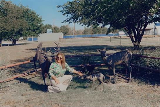 A woman is interacting with a small dog surrounded by deer statues in a sunny park.
