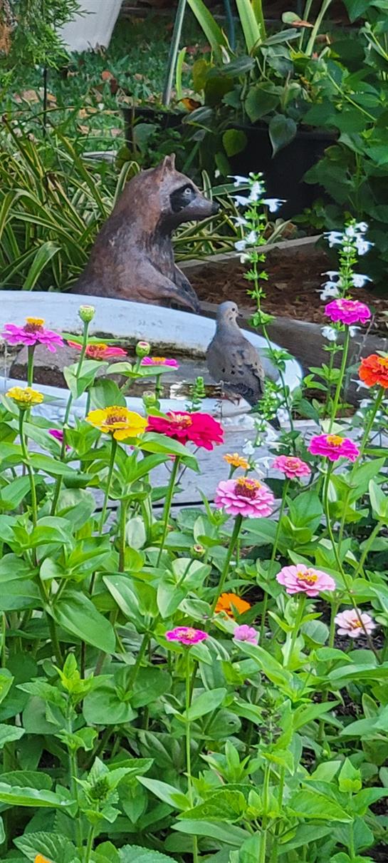 Colorful flowers bloom as a bird perches nearby, enjoying the peaceful garden.