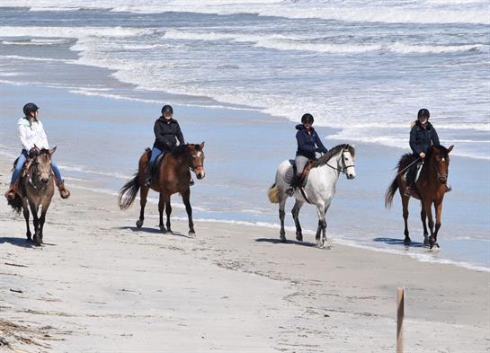 People riding horses on a beach