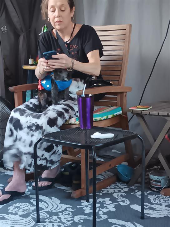A person relaxes in a chair while holding a phone, with a dog comfortably resting on their lap.