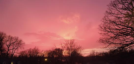 A stunning sunset paints the sky pink and purple, creating a peaceful evening atmosphere.