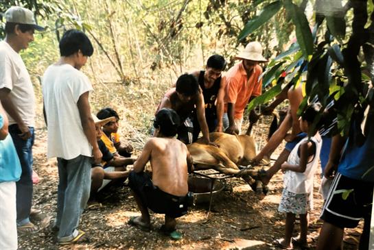 A group gathers in the forest for a communal activity with an animal.