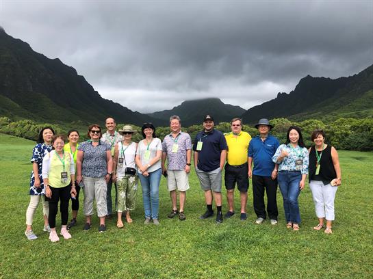 Tourists gather in a vibrant green valley, showcasing the stunning Hawaiian landscape around them.