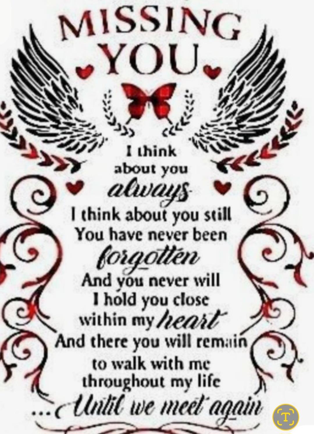 A black and red text with wings and butterflies