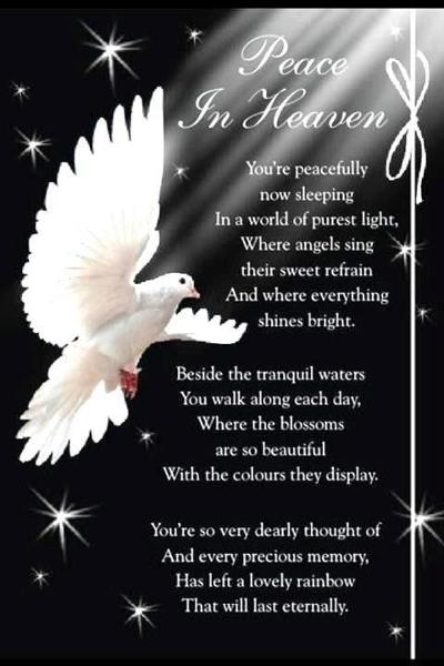 Photo by Janowicz Family Funeral Home | Doyle Edward Rowland, image size:3840x3840