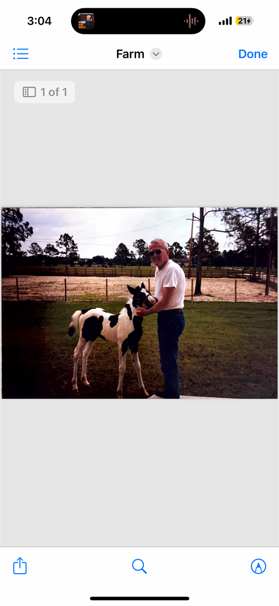 A man stands on a farm holding a calf while surrounded by green grass and wooden fences.