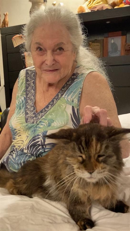 A woman pets her cat while sitting comfortably at home, sharing a moment of joy and companionship.