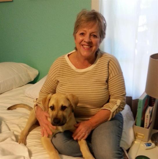A smiling woman sits on a bed, lovingly holding her tan dog, creating a joyful atmosphere.