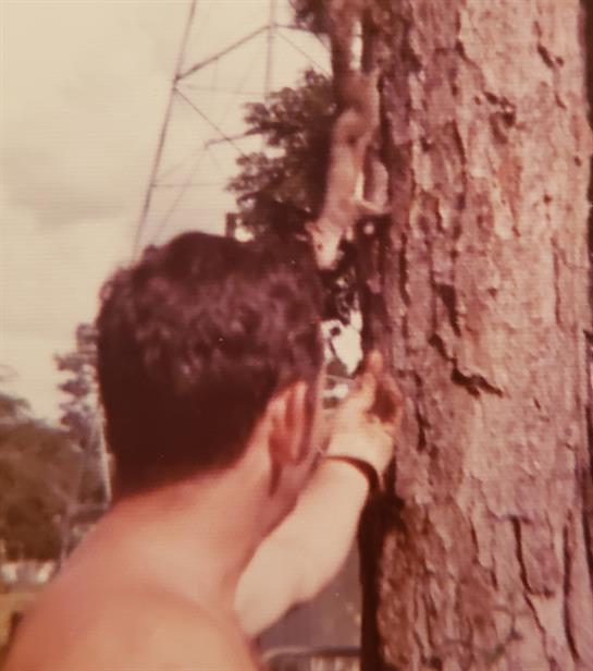 A man extends his hand towards a squirrel on a tree trunk in a natural setting.