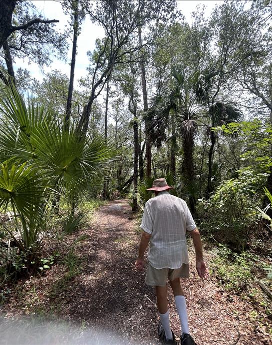 A man strolls through a verdant forest trail, enjoying nature on a clear, sunny day.