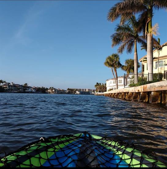 A person kayaks on serene waters, surrounded by lush palm trees and waterfront homes.