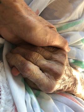 Two wrinkled hands are gently holding each other, reflecting companionship and care.
