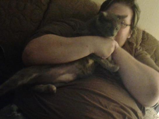 Individual embraces a gray cat while relaxing on a couch in a warm, inviting space.