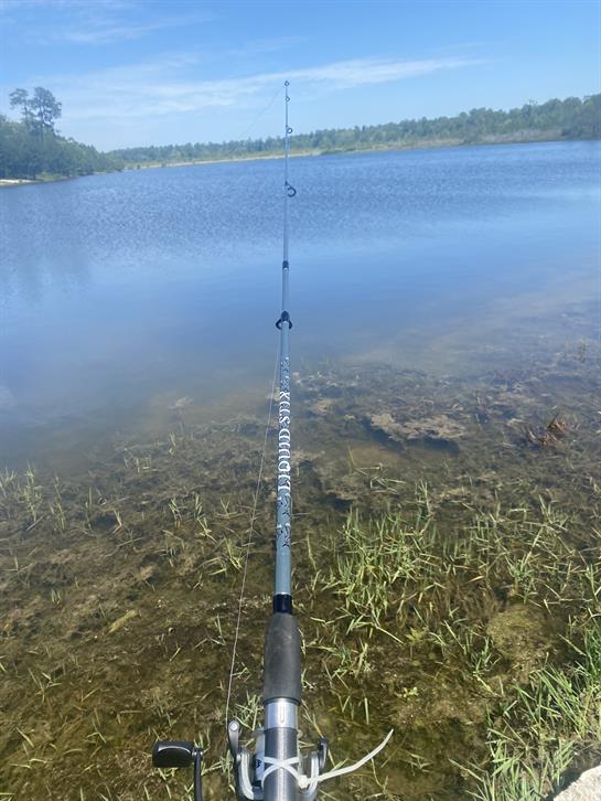 A fishing rod stands ready at the water’s edge on a sunny day near a calm lake.
