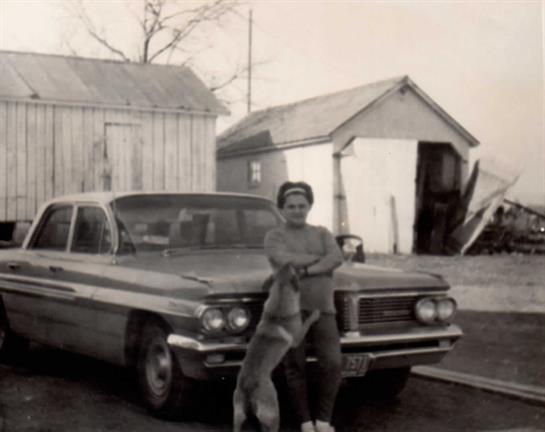 A person stands with a dog next to an old car in a peaceful countryside area.