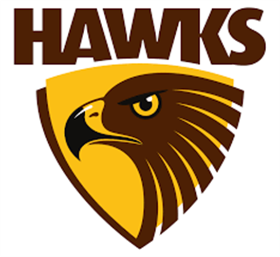 Bold logo features a hawk's head in vibrant colors, symbolizing teamwork and determination.