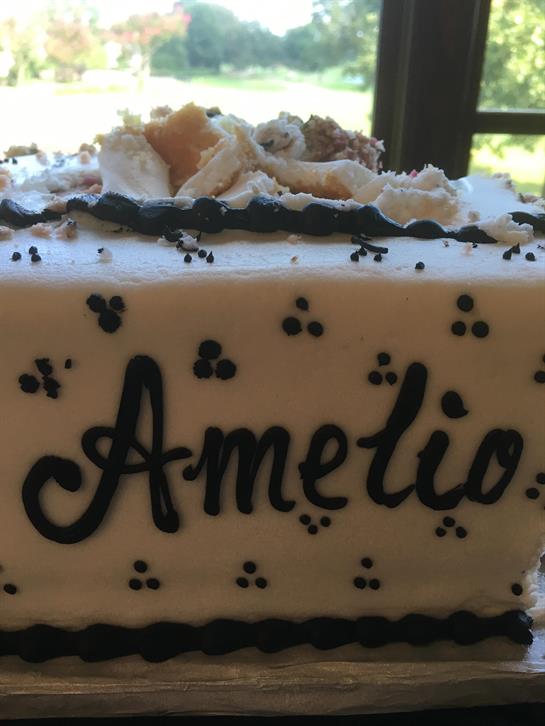 Beautifully decorated cake with the name Amelio, set outdoors with scenic background.
