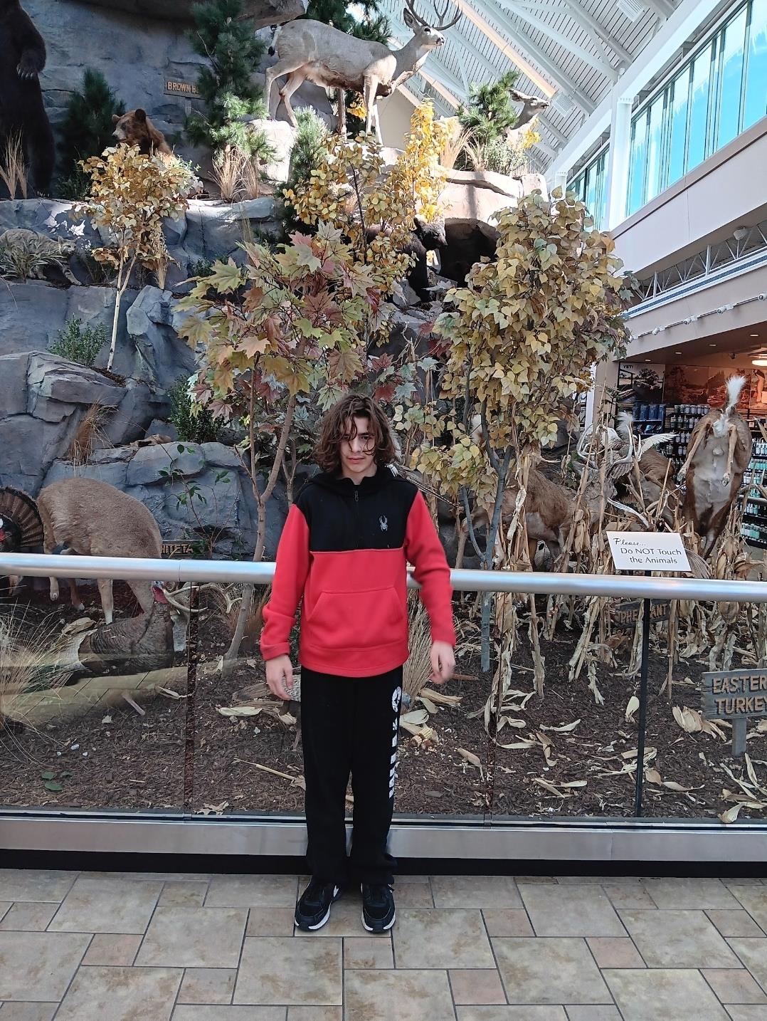 A boy stands in front of a large scenic display of taxidermy animals and plants.