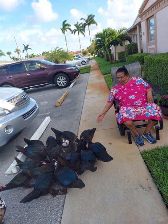 A woman in a bright dress sits on a chair, surrounded by turtles on a sunny day.