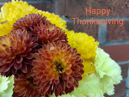 A group of flowers with text