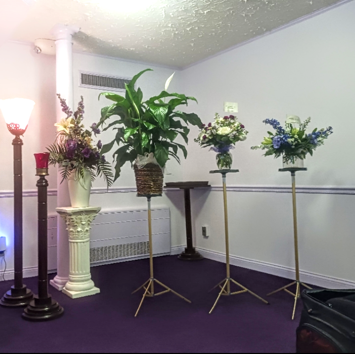 A room with several tall plants and a purple carpet