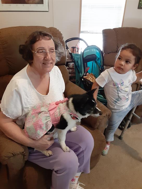 A grandmother sits with a small dog while a child engages playfully in a cozy living room.