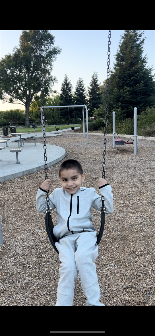 A young boy plays happily on a swing in a park at dusk, surrounded by trees and play structures.