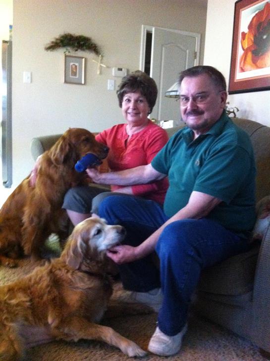 A couple sits on a couch with their three playful dogs, engaging in a joyful moment together.