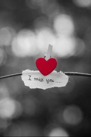 A heart shaped paper clip and a note attached to a branch