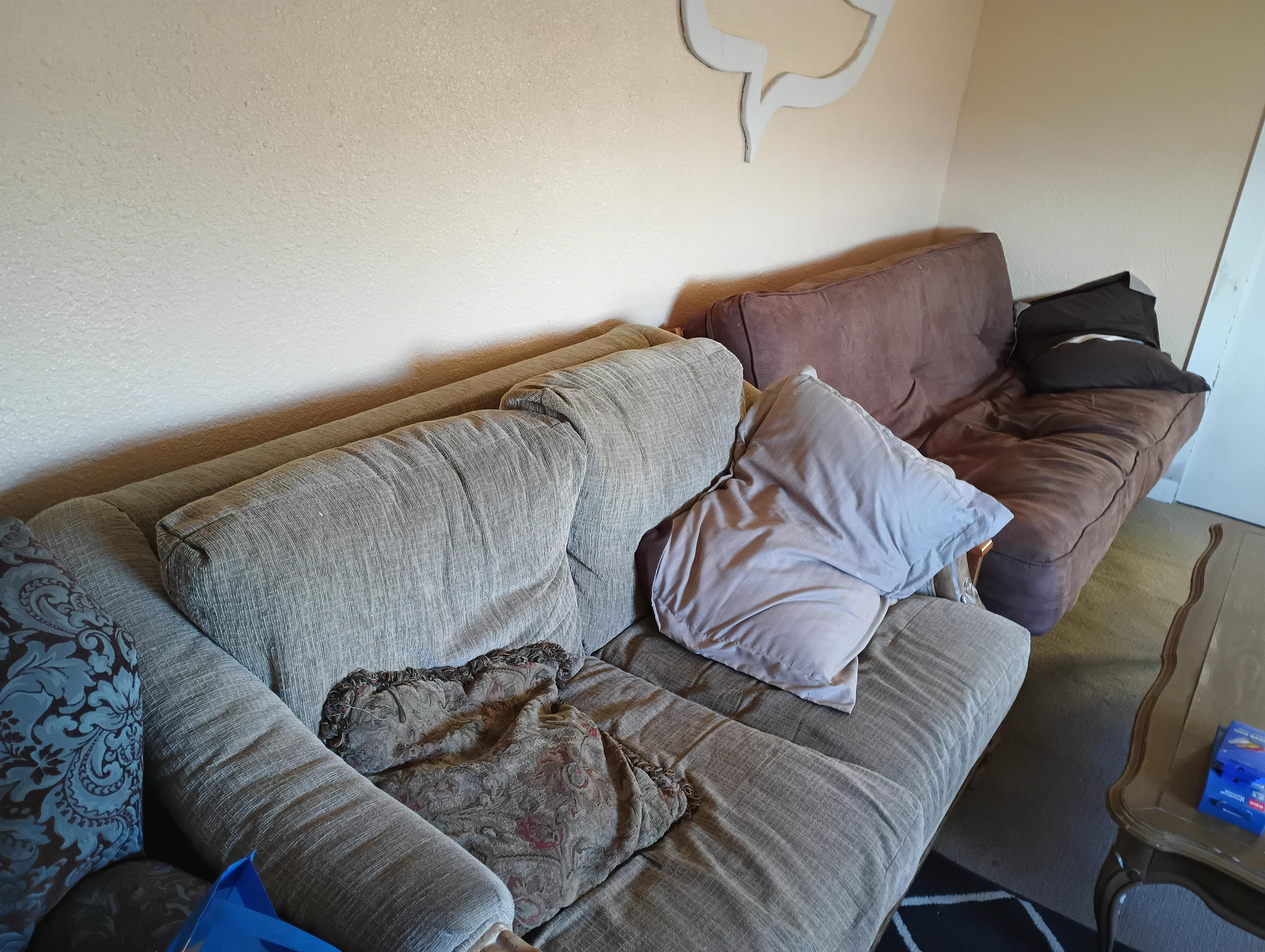 Two couches adorned with various pillows create a relaxed atmosphere in a living room.