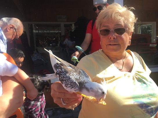 A woman joyfully holds a bird while surrounded by people at a lively market.