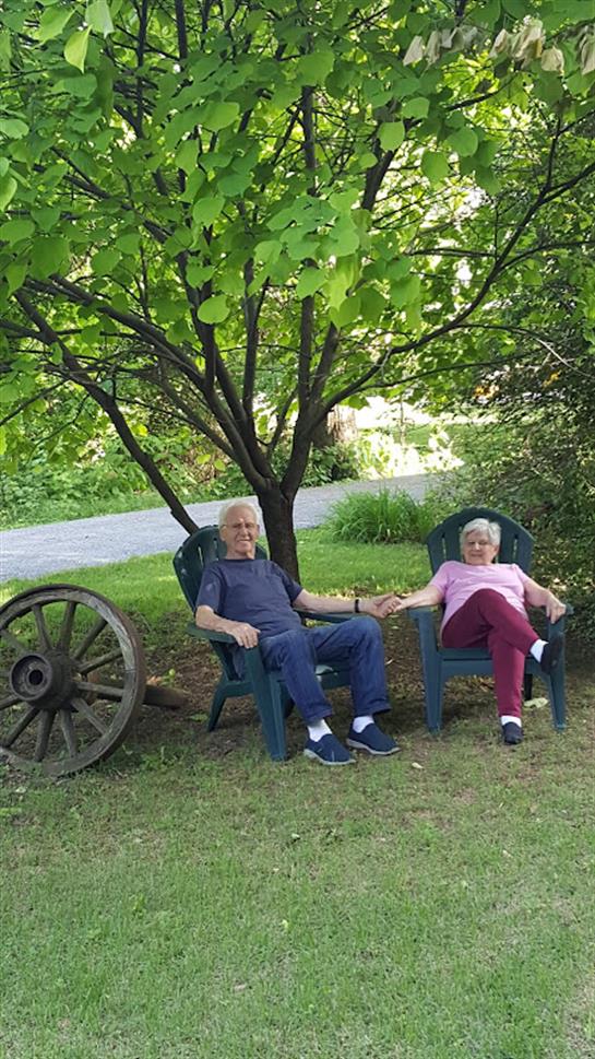 A man and woman sitting in chairs under a tree