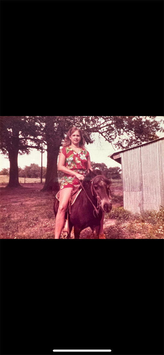 A young girl rides a pony in a sunny field, surrounded by trees and a rustic shed.