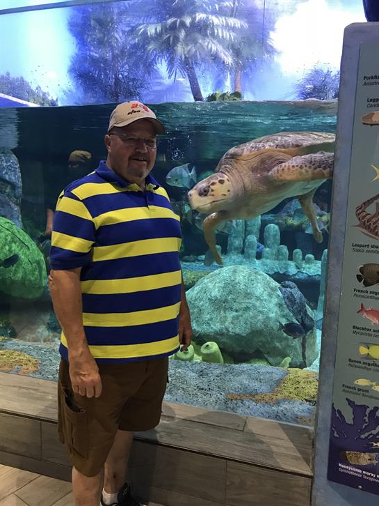 A man enjoys his time beside a majestic sea turtle at an aquarium exhibit.