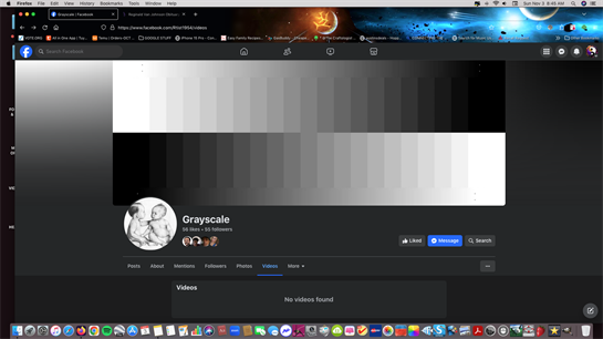 A computer screen showcases a full grayscale texture pattern with various shades.