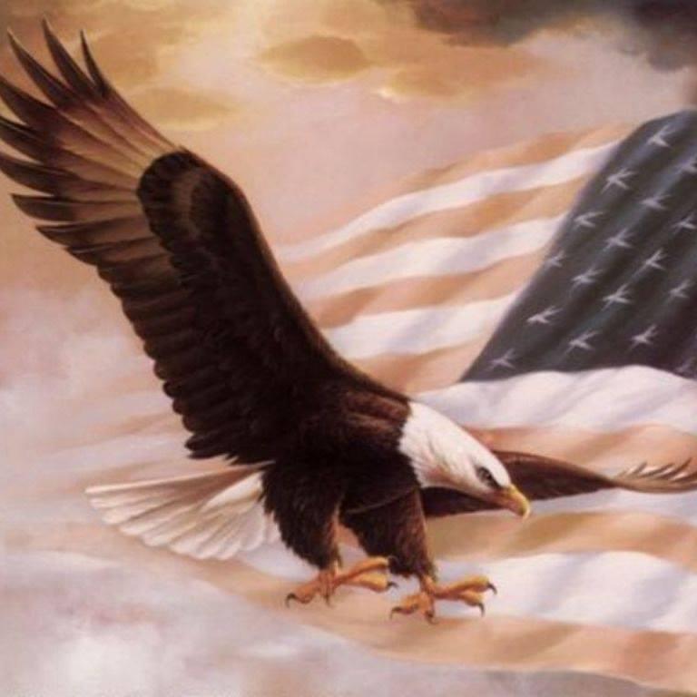 An eagle gracefully flies over a waving American flag as colors blend in the sky.