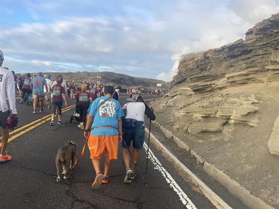 Groups of people walk their dogs along a coastal road surrounded by beautiful landscapes.