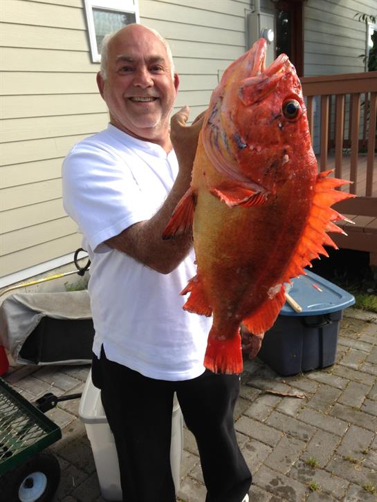 A man holding a fish